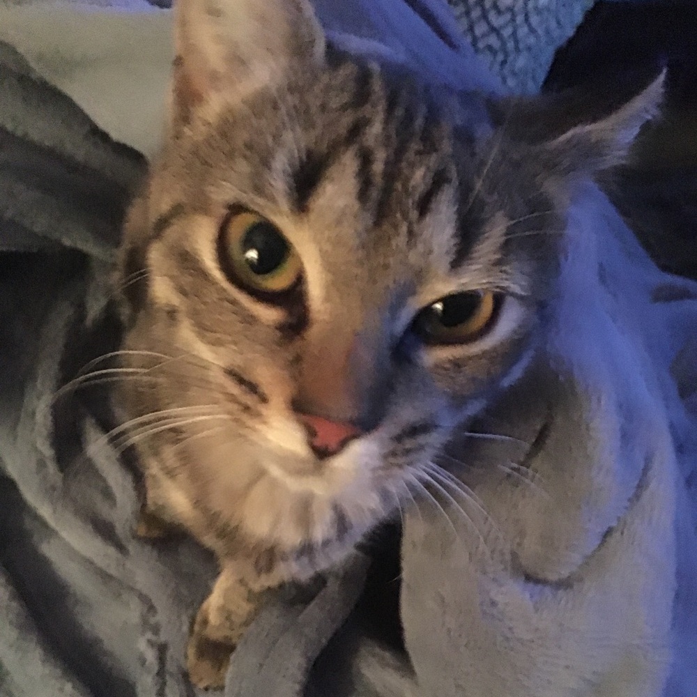 Meet your Posher, ATL